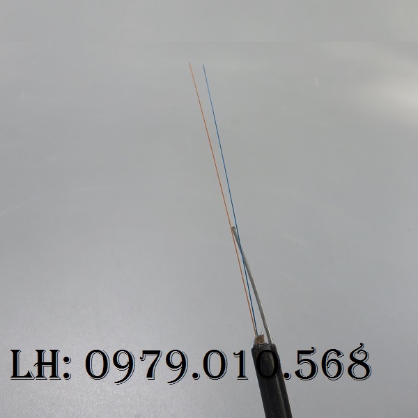 VINACAP CÁP THÔNG TIN SỢI QUANG LOẠI 2FO SINGLEMODE ỐNG LỎNG VINACAP